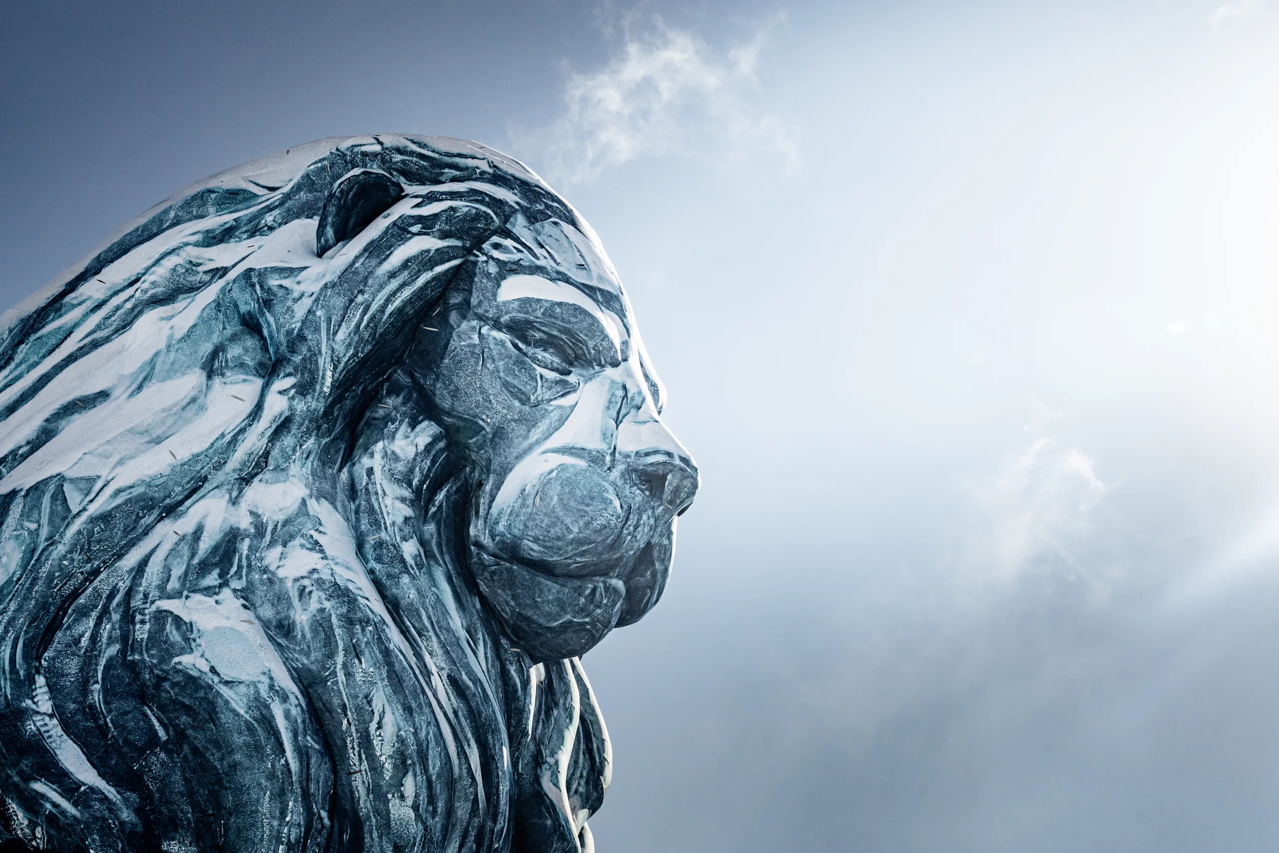 Tomorrowland Winter, Les scènes